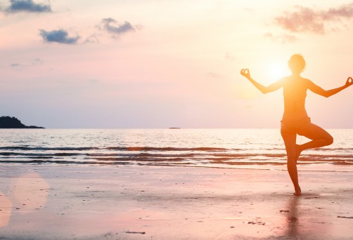 Menla Mountain Retreat Center: Catskills, NY