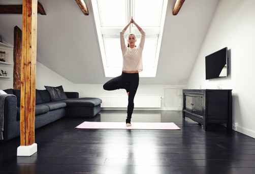 Hanuman Yoga Festival: Boulder, CO