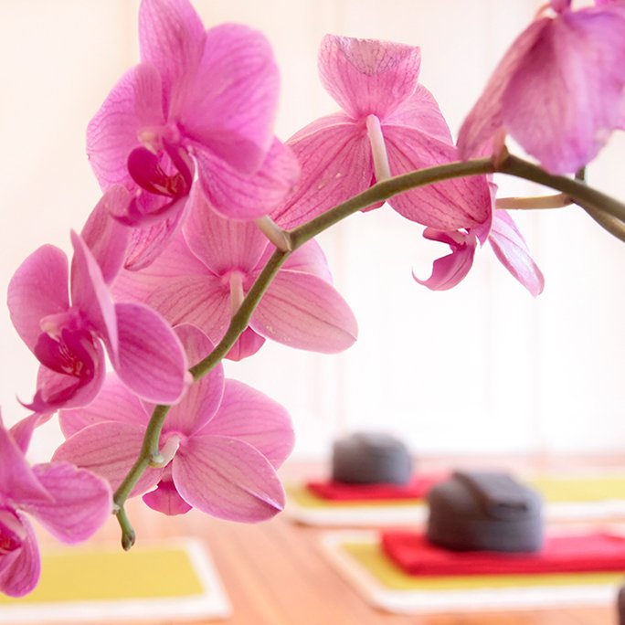 Yoga is the practice of quieting the mind